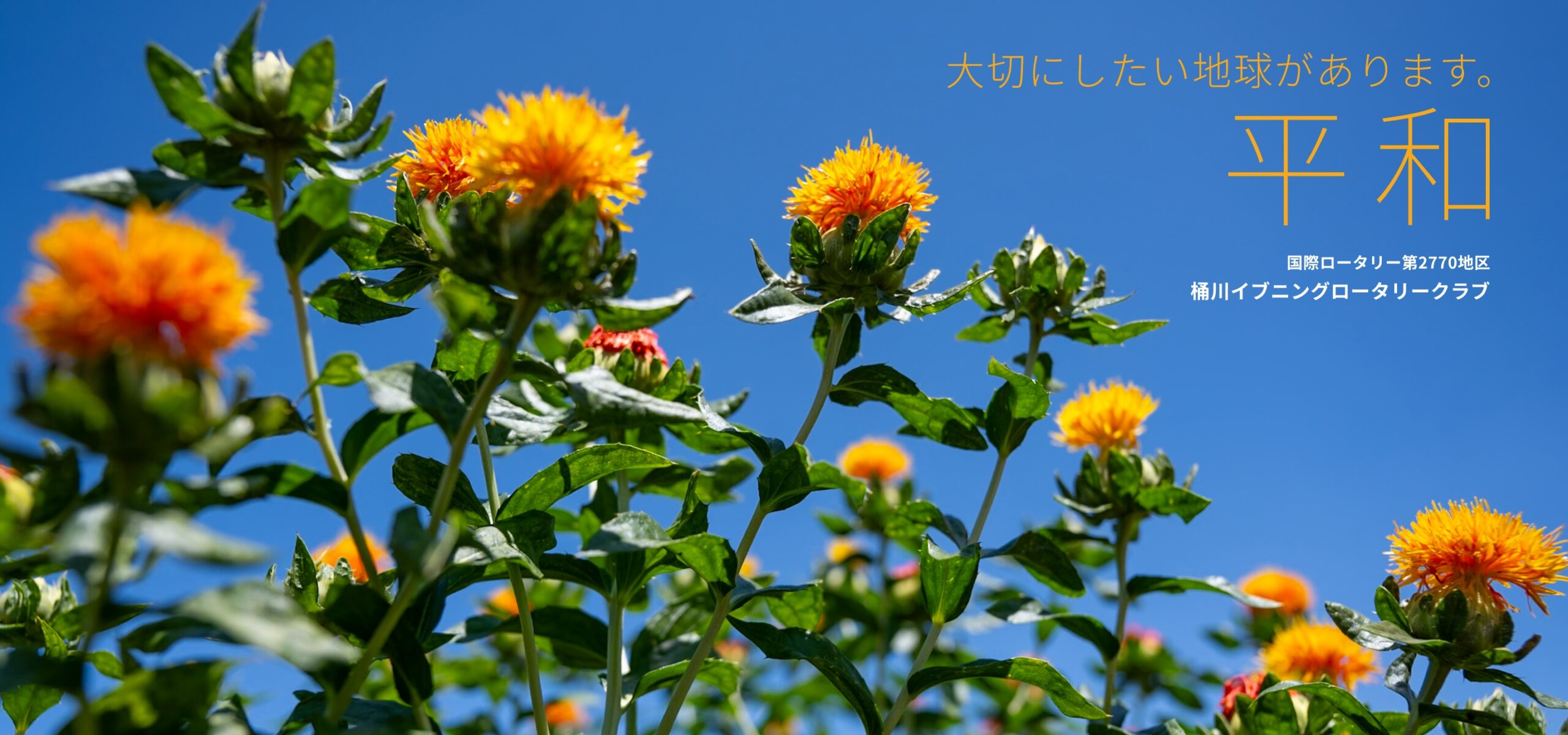 桶川イブニングロータリークラブ